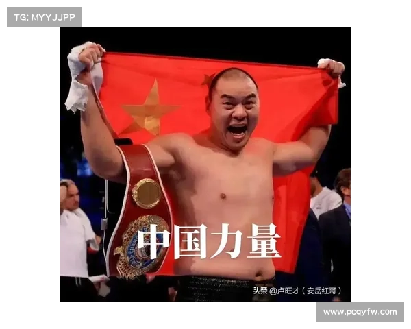 世界职业拳王经典赛事视频