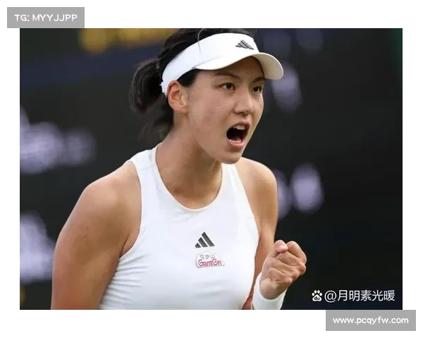 华盛顿网球公开赛2021 华盛顿网球公开赛2021
