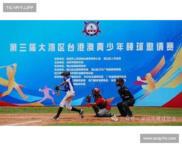 棒球赛事总结,棒球比赛简介