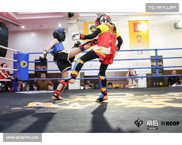 经典格斗赛事有哪些比赛